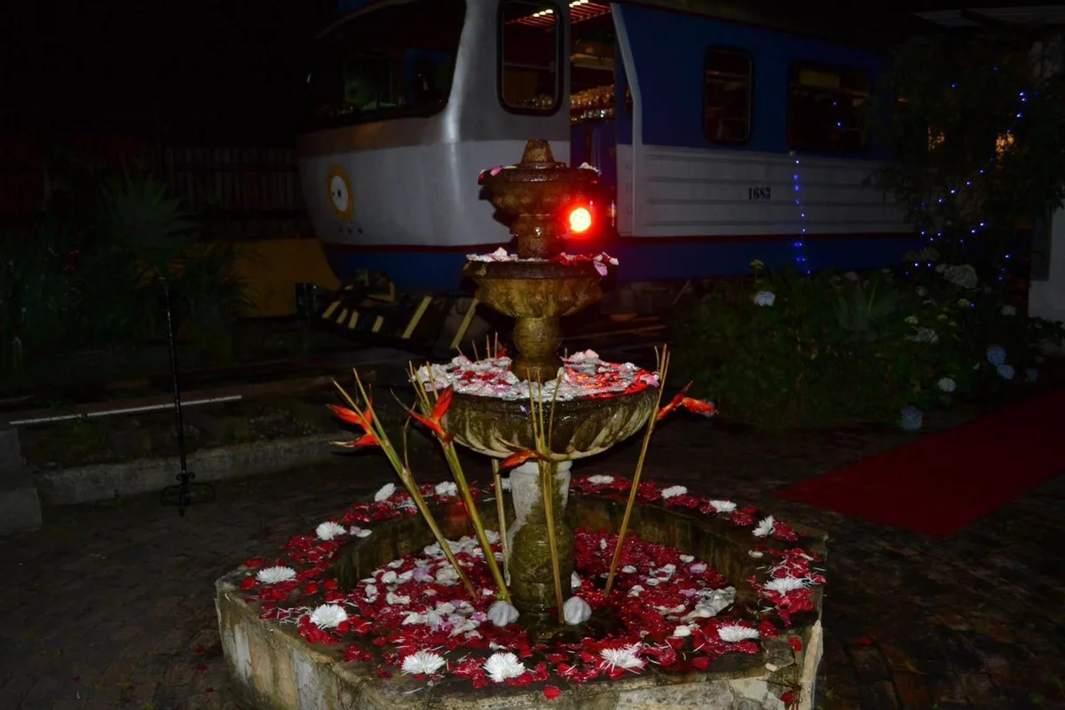 Fuente decorativa nocturna con pétalos en Finca Caferro